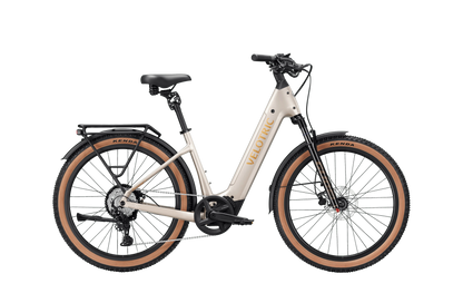 VELOTRIC - Discover M