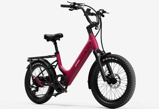 URTOPIA - JOY - CARBON FAT TIRE E-BIKE