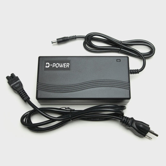 LECTRIC - 1 PIN CHARGER