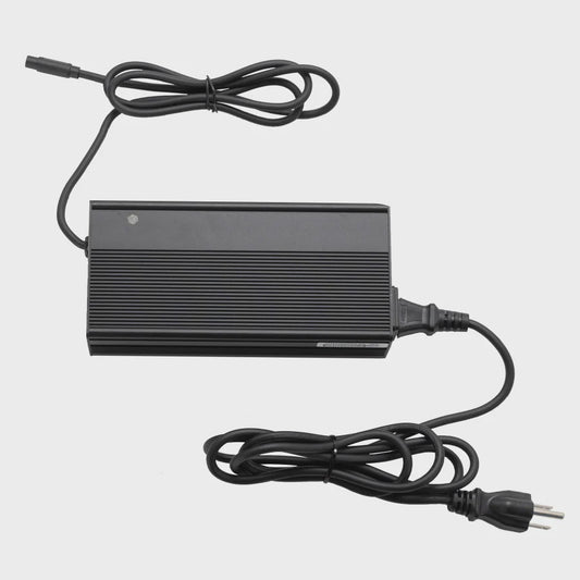 LECTRIC  - 3 PIN FAST CHARGER