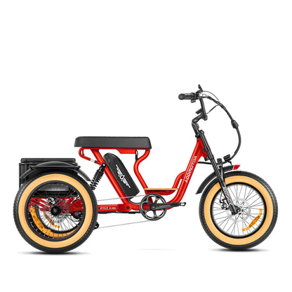 SOLETRI M-366X ADDMOTOR FULL SUSPENSION TRICYCLE